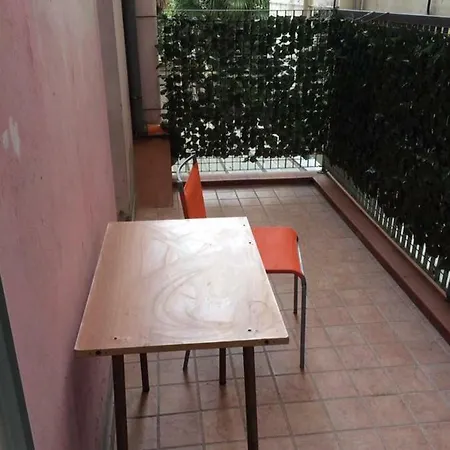 New Prophet カットーリカ