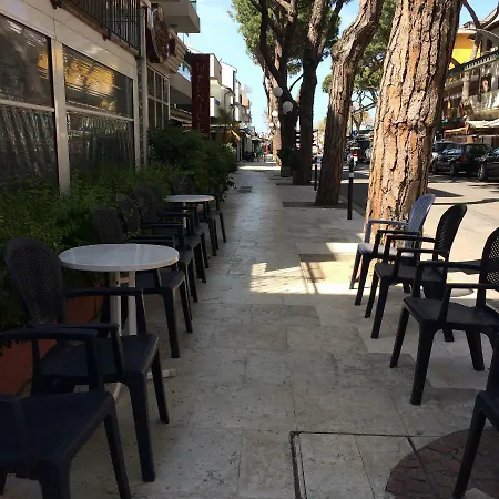 New Prophet カットーリカ