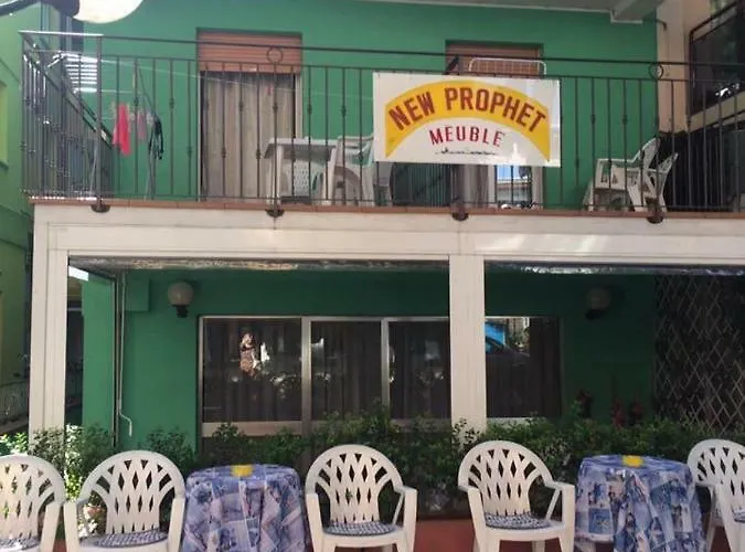 New Prophet B&B 카톨리카